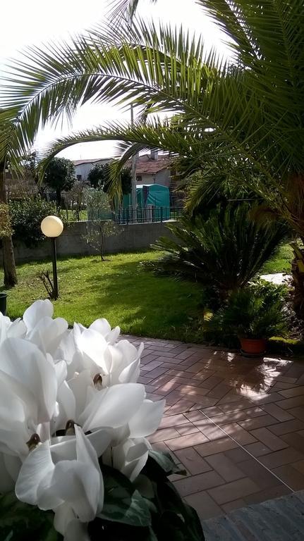 B&B La Cascina Concordia Sagittaria Kültér fotó